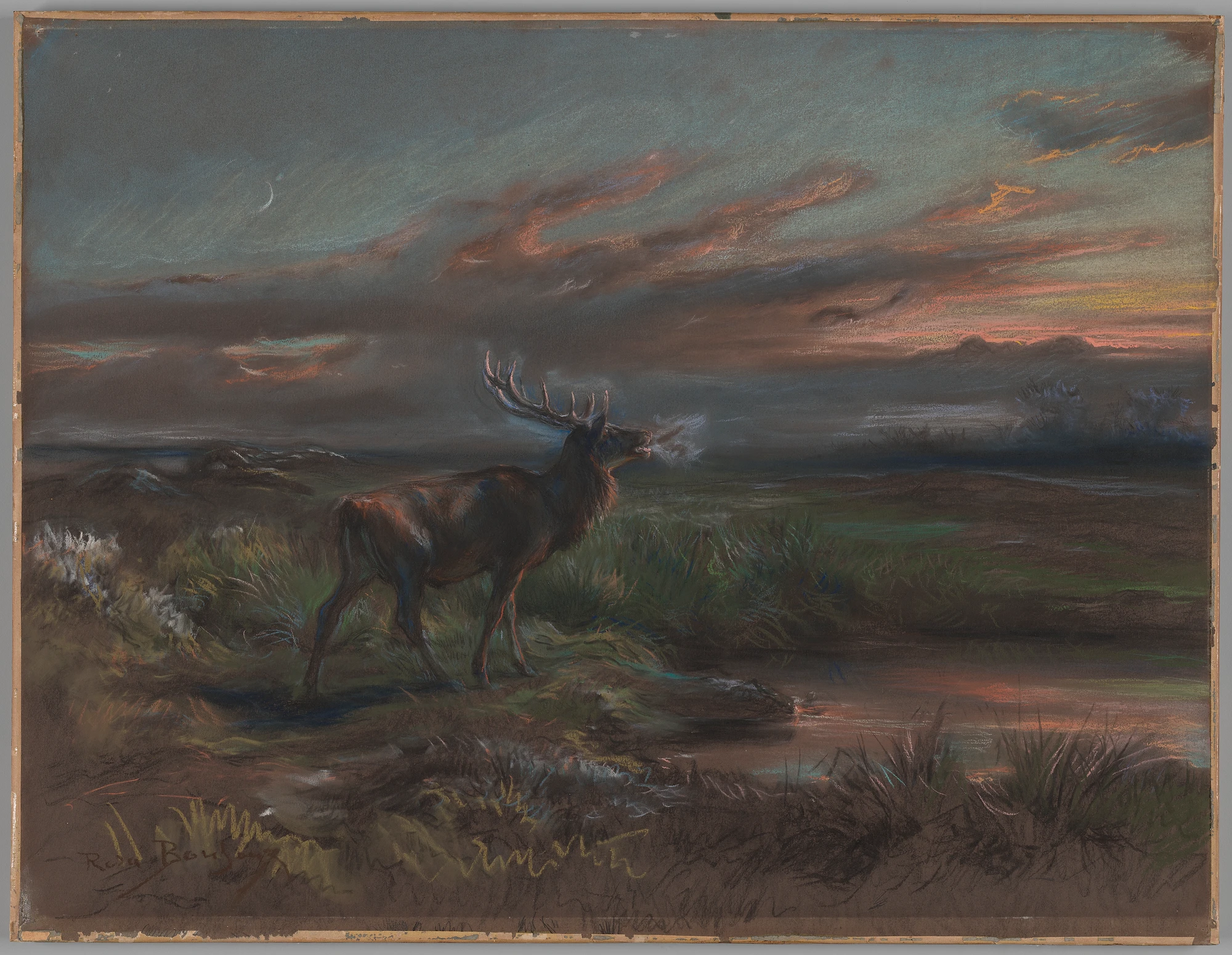 The Call of the Stag