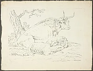 A Bull and Two Sheep