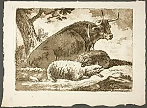 A Bull and Two Sheep
