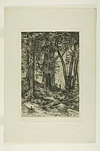 A California Forest