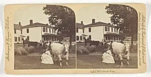 "A Farmer's Life for Me"