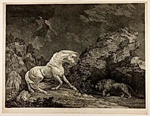 A Horse Affrighted by a Lion