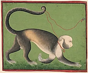 A Monumental Portrait of a Monkey by Unknown