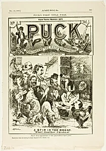 A Stir in the Roost, from America