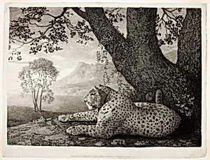 A Tyger (A Recumbent Leopard by a Tree)