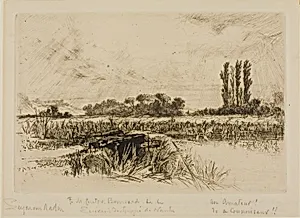 A Water Meadow by Francis Seymour Haden