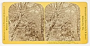A Winter's Morning. Among the Boughs., No. 298 from the series "In and About the Dells of the Wisconsin River" by Henry Hamilton Bennett