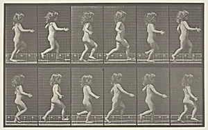 Animal Locomotion, Plate 469