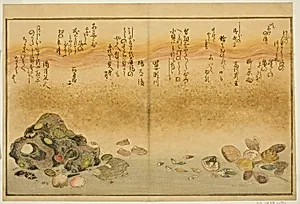 Ashi-gai, hamaguri, ko-gai, suzume-gai, akoya-gai, and katashi-gai, from the illustrated book "Gifts from the Ebb Tide (Shiohi no tsuto)" by Kitagawa Utamaro