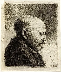 Bald Headed Man in Profile Right: The Artist's Father (?) by Rembrandt van Rijn