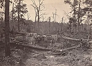 Battle Field of New Hope Church, GA, No. 2 by George N. Barnard