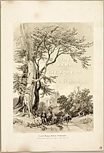 Beech and Oak (Frontispiece), from The Park and the Forest