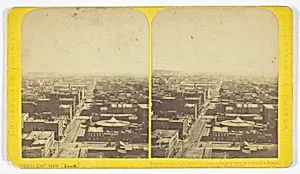 Bird's Eye View (South), from the series "Chicago and Vicinity"
