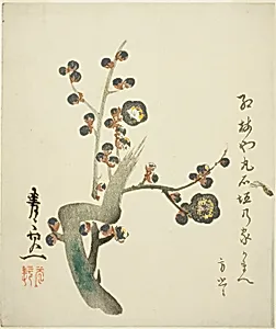 Blossoming red plum branch