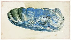 Blue and Green Shell with Dragon's Head