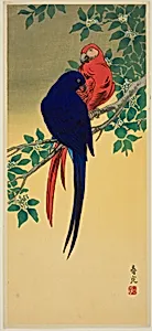 Blue and Red Macaws