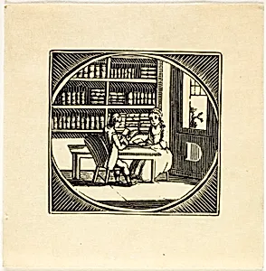Book Illustration