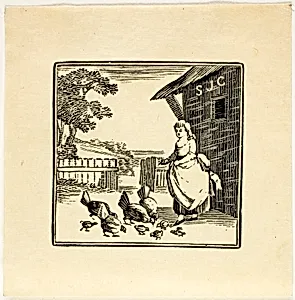 Book Illustration