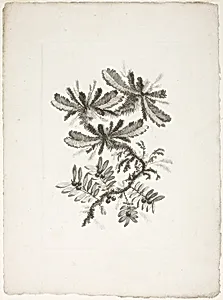Bouquet, from Collection of New Flowers of Taste for the Manufacture of Persian Cloth, Invented and Drawn by Jean Pillement