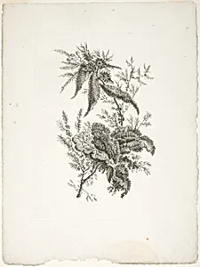 Bouquet, from Collection of New Flowers of Taste for the Manufacture of Persian Cloth, Invented and Drawn by Jean Pillement