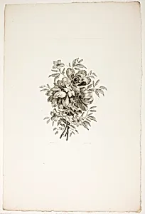 Bouquet with Poppies, from Recueil de differents bouquets de fleurs