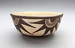Bowl with Half-Circle with Projections Motifs Descending from Rim by Nasca