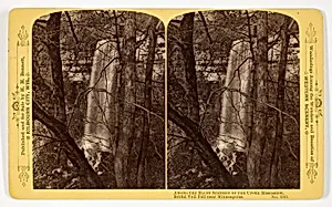Bridal Veil Fall near Minneapolis, No. 1515 from the series "Among the Bluff Scenery of the Upper Mississippi"