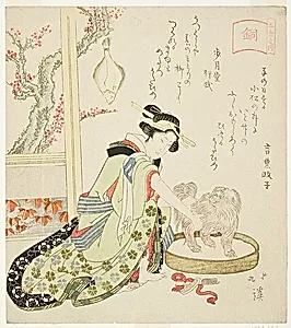 Bronze (Do), Woman Grooming Pekingese Dog, from the series "The Five Metals (Gokin no uchi)" by Totoya Hokkei