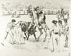 Bull-Fight