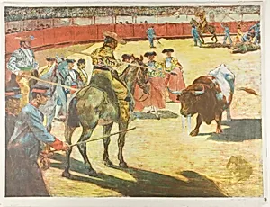 Bull-Fight