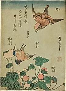 Bull-headed Shrike and Bluebird with Saxifrage and Wild Strawberry (Mozu, ruri, yukinoshita, hebi-ichigo), from an untitled series of flowers and birds by Katsushika Hokusai
