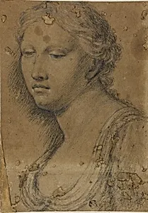 Bust of Woman