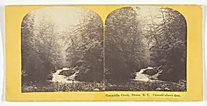 Cascadilla Creek, Ithaca, N.Y. Cascade above dam