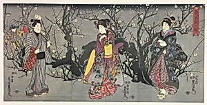 Cherry Blossom Viewing (Shunchaku hana no shizuku)