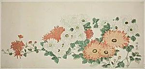 Chrysanthemums