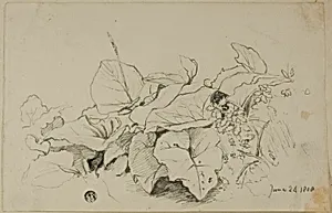 Clump of Leaves and Flowers