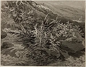 Corner of the Meadow with Reeds and Other Plants