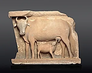 Cow Suckling a Calf by Unknown