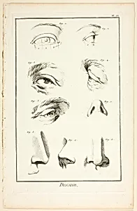 Design: Facial Anatomy from Encyclopédie