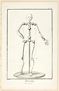 Design: Mannequin, from Encyclopédie