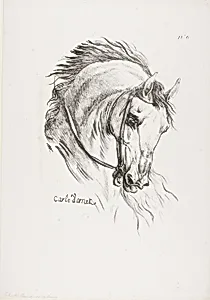 Detail of Horse's Head, Enlarged to Triple Size, Hussard, Royal Guard, No. 6 by Carle Vernet