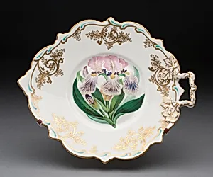 Dish