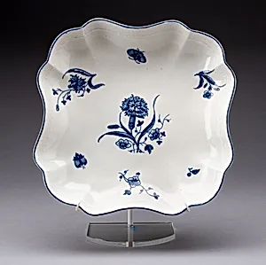 Dish