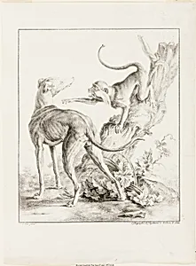 Dog and Monkey