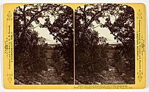 Down the old Quarry Road near Frontenac on Lake Pepin, , No. 1545 from the series "Among the Bluff Scenery of the Upper Mississippi"
