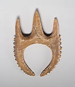 Eccentric Flint