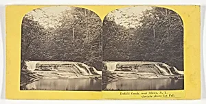 Enfield Creek, near Ithaca, N.Y. Cascade above 1st Fall