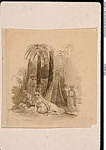 Exotic Women under Palms