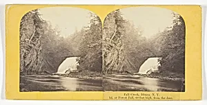 Fall Creek, Ithaca, N.Y. 2d, or Forest Fall, 60 feet high, from the dam