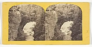 Fall Creek, Ithaca, N.Y. 2d, or Forest Fall, 60 feet high, from north bank